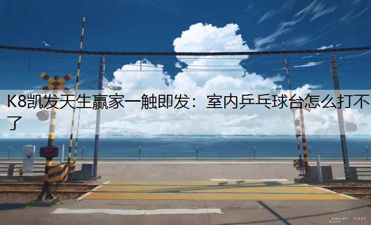 室内乒乓球台怎么打不了